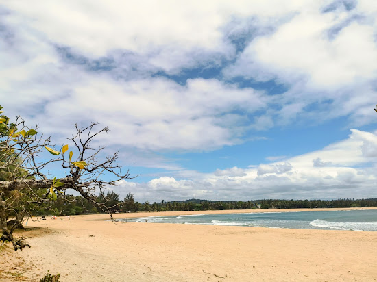 À la découverte des plages de la région Sofia : Un paradis côtier inexploré