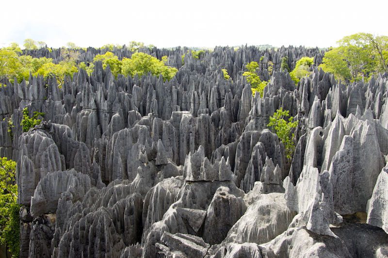 Explorez le Tsingy de Bemaraha : Un chef-d’oeuvre naturel unique au monde