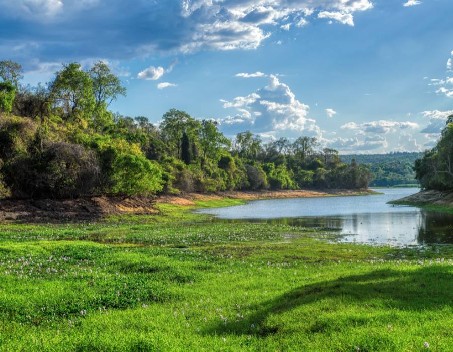 Le Parc National d’Ankarafantsika : un joyau naturel de Madagascar