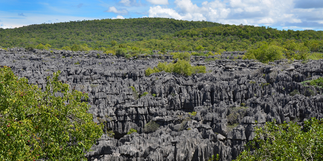 Le Parc National de l’Ankarana : Un trésor géologique à ciel ouvert