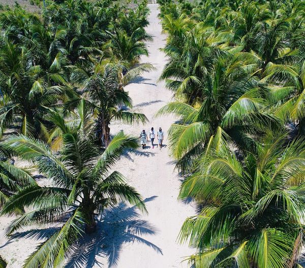 Découvrez la SAVA en mode éco-tourisme : activités nature, rencontres authentiques et aventures durables