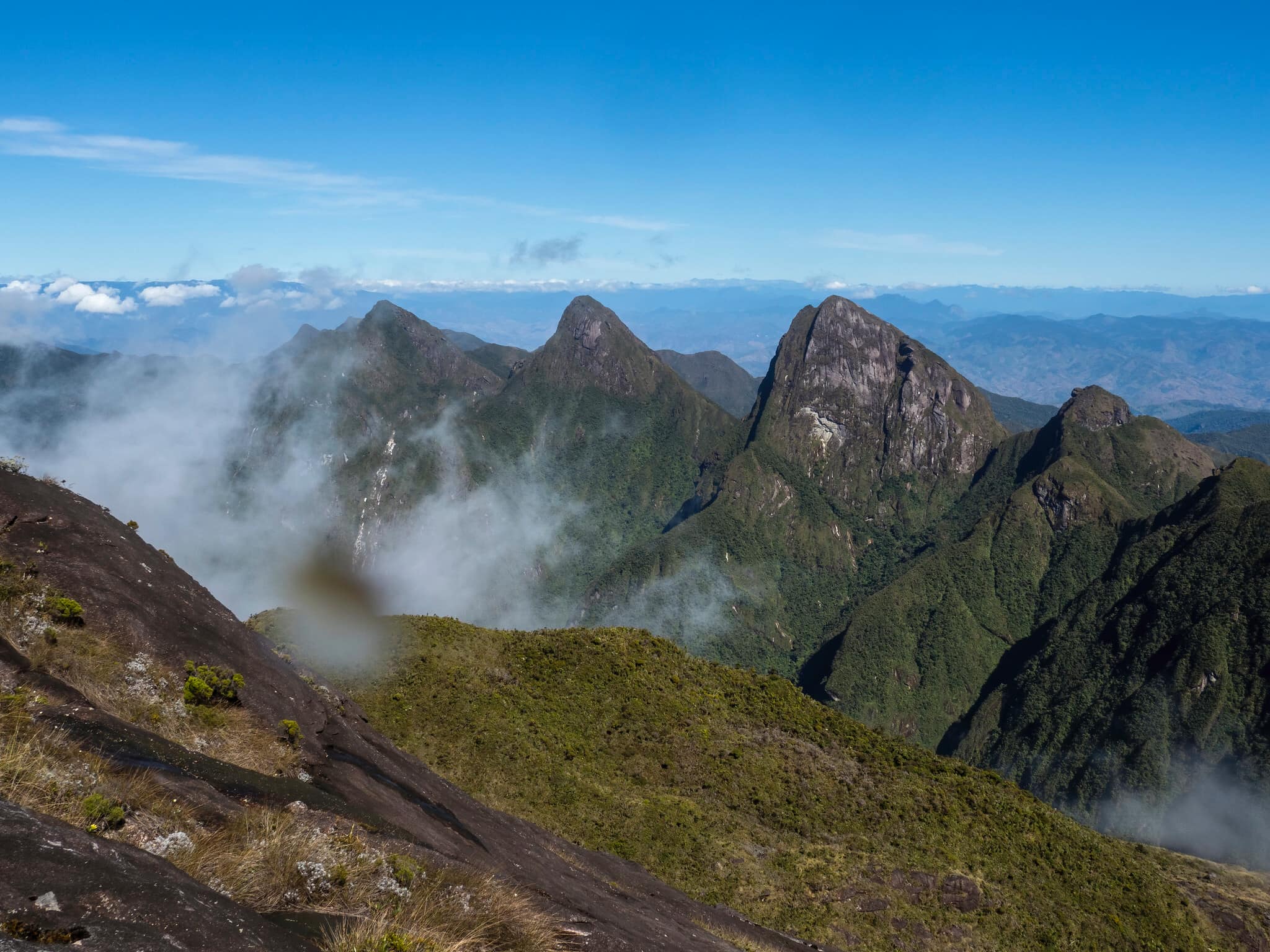 Parc National de Marojejy : un sanctuaire de biodiversité à explorer au cœur de Madagascar