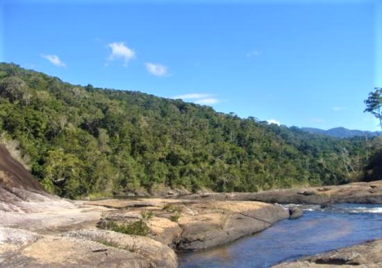 Découvrez le Parc National de Midongy du Sud : Un joyau naturel au cœur de Madagascar