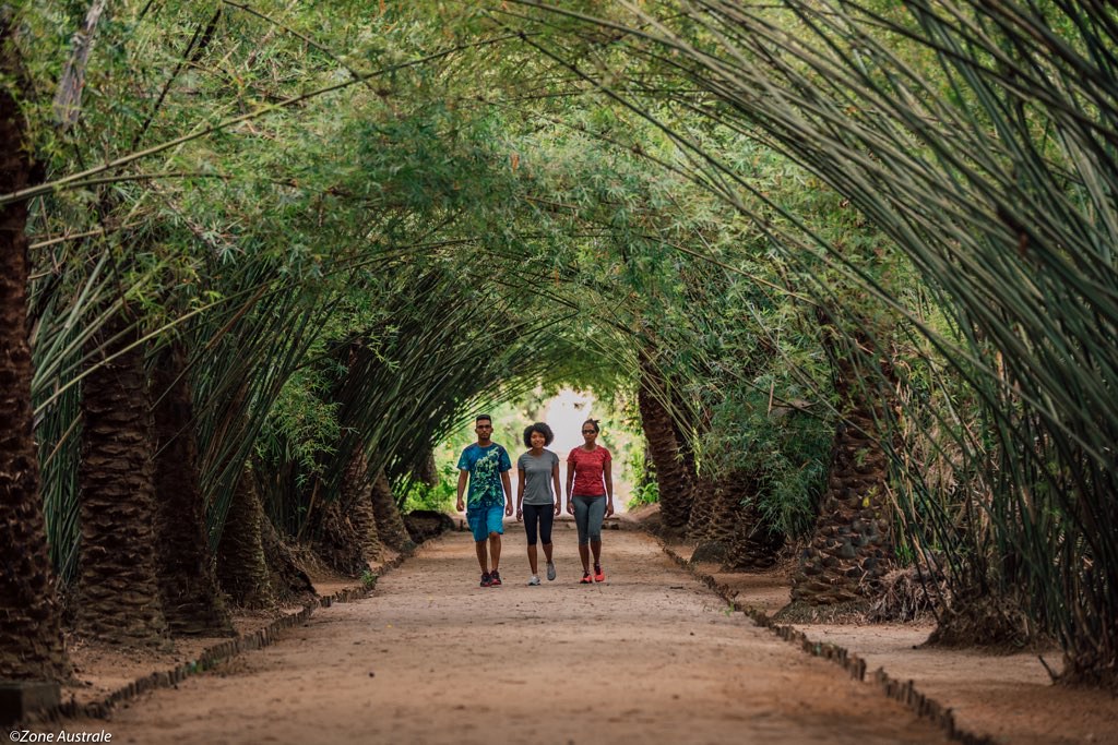 La Réserve de Nahampoana : Une Aventure au cœur de la nature Malagasy