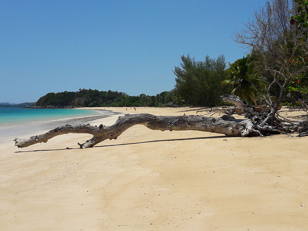 Nosy Sakatia : Échappée sur l'Île aux Orchidées, Trésor Caché de Madagascar