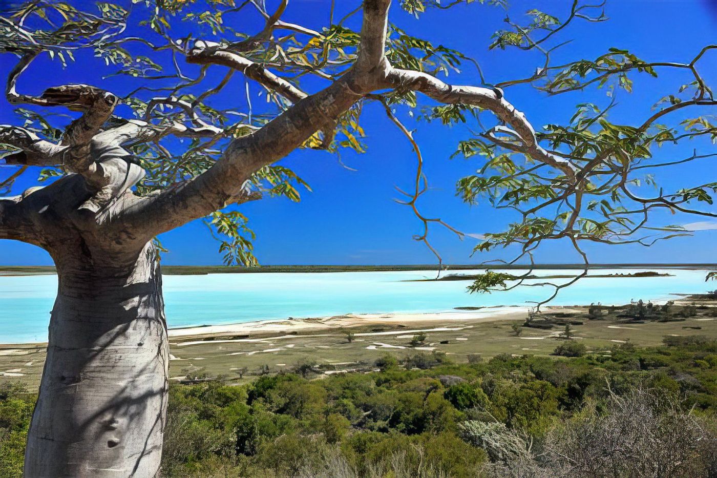 Découvrez le Parc National de Tsimanampetsotsa : un joyau caché de Madagascar