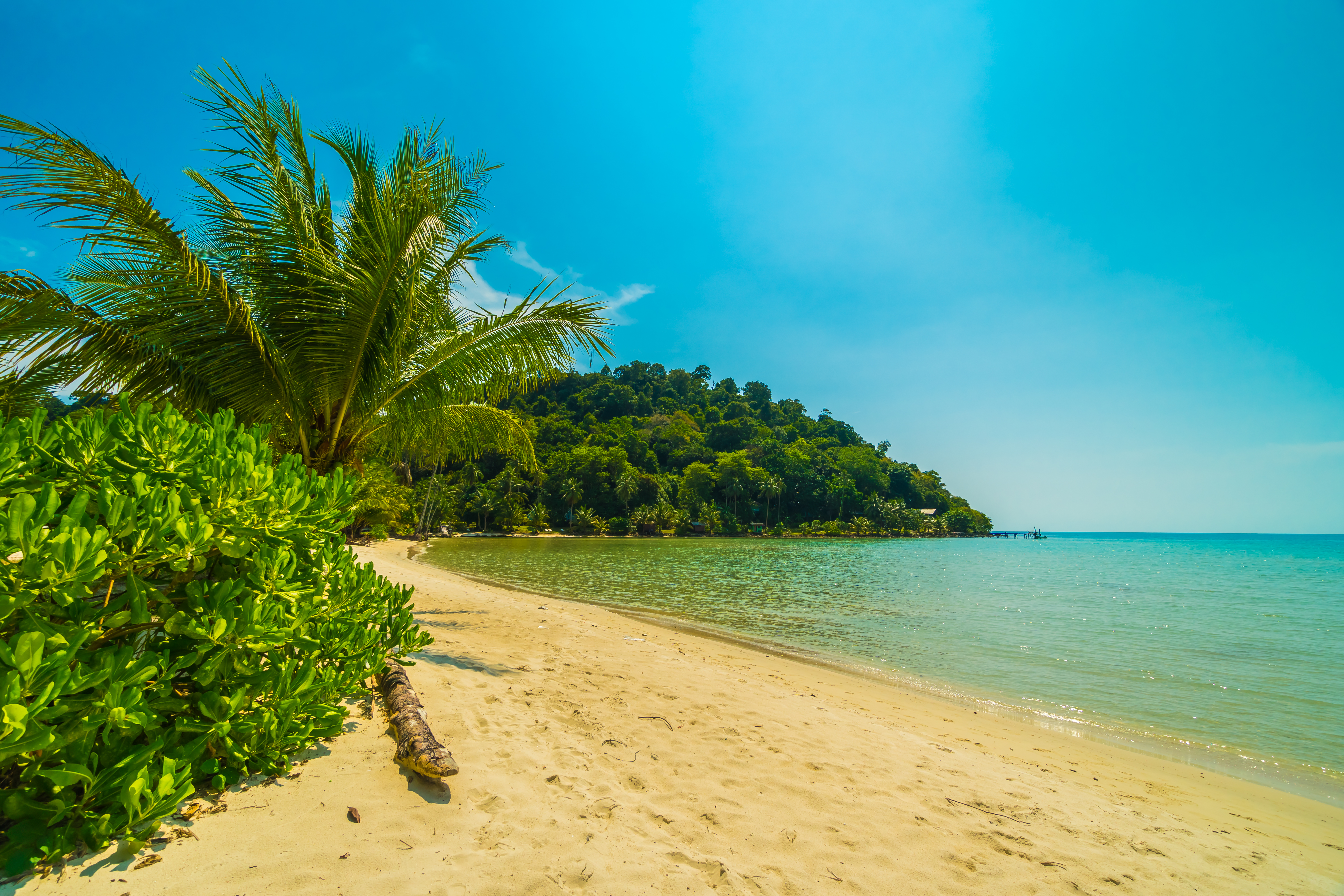 Envie de Découvrir Madagascar ? Tout sur la vidéo